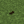 supreme-leader-stoat:minecraftant:this is actually so funny jackbox said go get jokesJackbox: