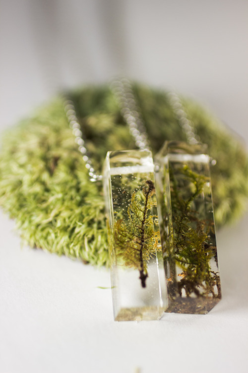 Rectangular prism moss specimen necklaces, available at the link in my bio! 