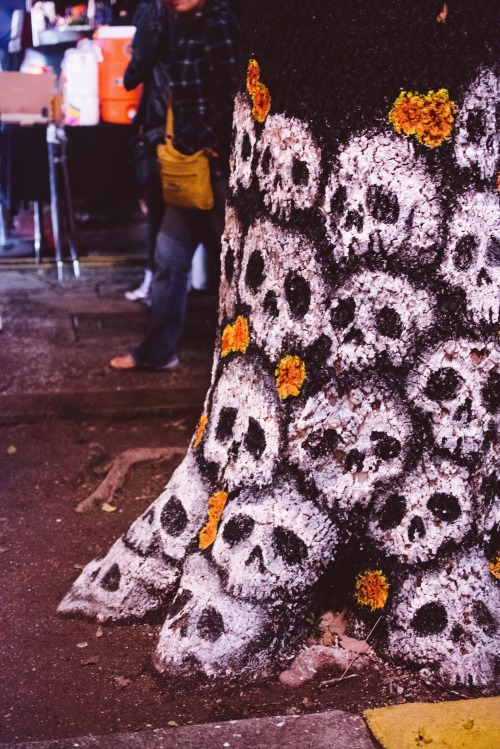 Día De Los Muertos, Tlaquepaque, Guadalajara, Jalisco, México