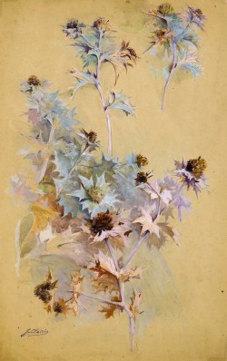oldpaintings: Study of Thistles by Georges Clairin (French, 1843–1919)