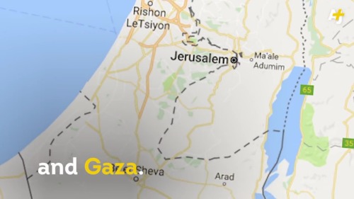 m7madsmiry: from-palestine:    Google has just erased Palestine from its maps.   - First, they erased Palestinian homes from the grounds. Then they erased Palestine citizens from their existence. Now they are using internet to erase them from our sight.