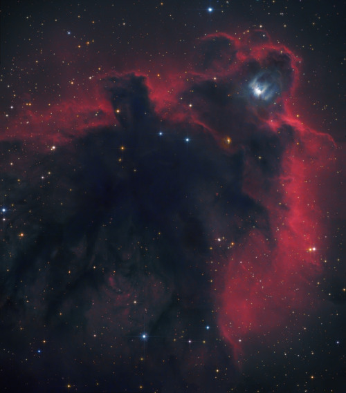 kenobi-wan-obi: Cometary Globule L1622 (Subaru-DSS Composite) by Robert Gendler Bright rimmed globul