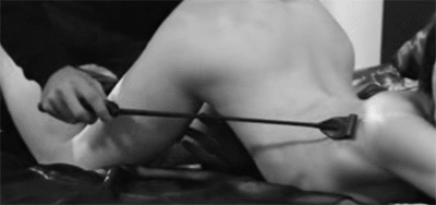 morbidlylusting:  theme of the day - whips 