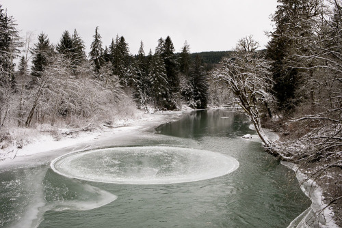 maggie-stiefvater: itscolossal: A Giant Naturally Occurring Ice Circle Appears Briefly in a Washingt