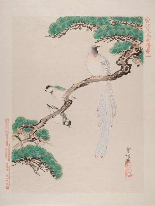 Birds and flowers after Kanō Tsunenobu,  (1636–1713). MKG Hamburg