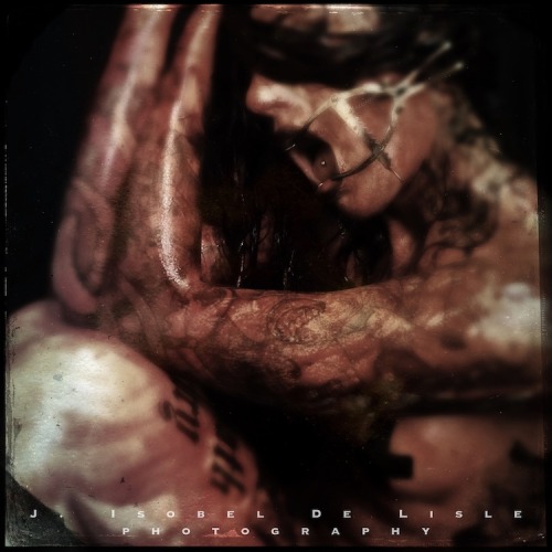 jisobeldelisle:  Cervena Fox© J. Isobel De Lisle photography