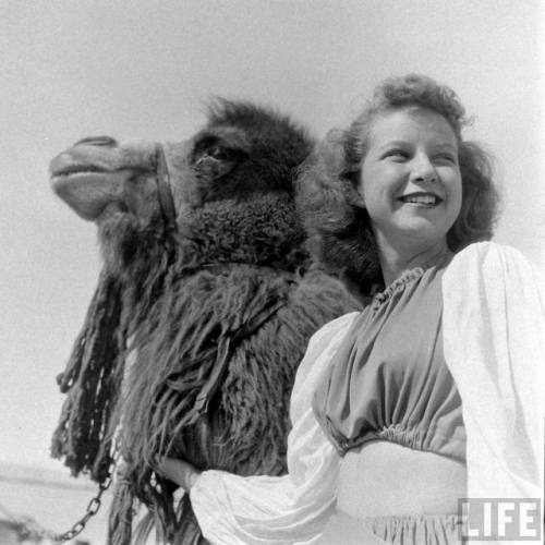 Riverside County Fair and National Date Festival(Loomis Dean. 1948)