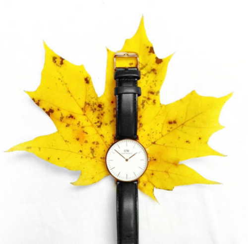 Daniel Wellington watches available at www.mulierstore.com