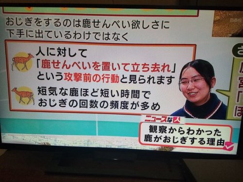 tkr: wild-bulletさんのツイート: “奈良公園の鹿が鹿せんべいを持ってる人に頭を上下する行動が見られますが、これは「ください」という可愛いおじぎではなく「オラ！寄越せや