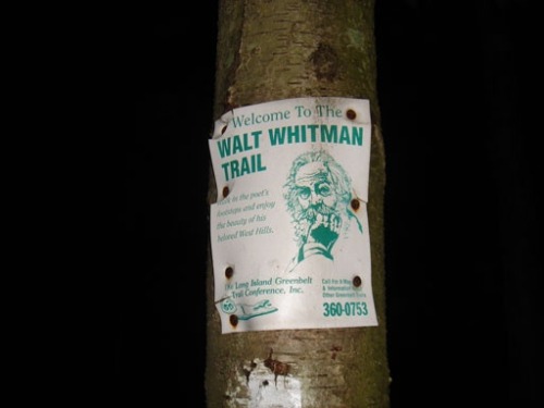 Sex Legend has it the ghost of Walt Whitman is pictures