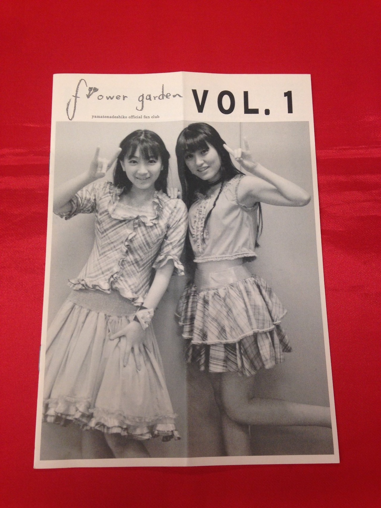himanji:  やまとなでしこ