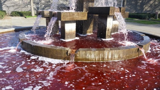 silver-tongues-blog: chefpyro:  Saw a blood fountain omw to the grocery store.  moses is pissed at someone 