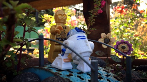 “R2! Where are you taking us?!?”