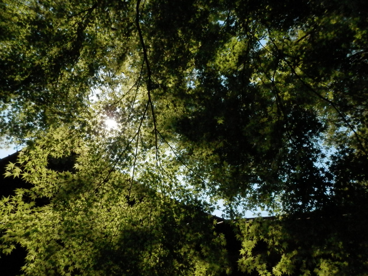 ozeanflug:  吾野(Agano), Japan