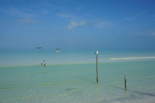 Holbox Island - absolute paradise!