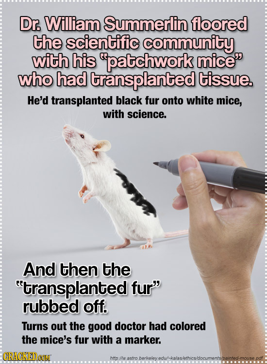 cracked:  The 27 Weirdest Lies That Everyone Believed