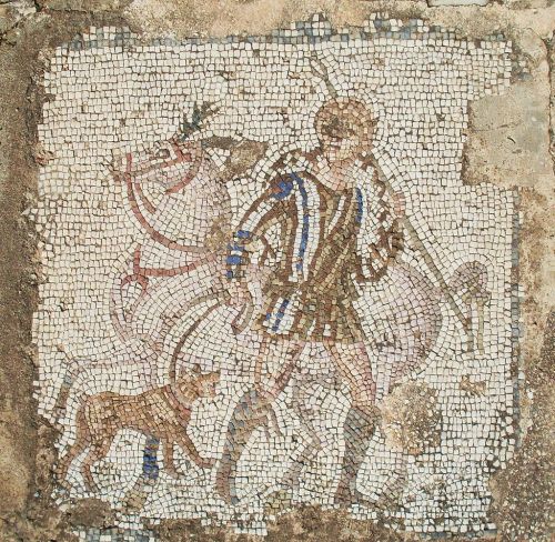 last-of-the-romans:Mosaic of Horses, Archaeological Site of Carthage| 3rd Century AD