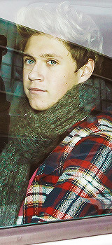 imsohoranyniall:  niall needs to stop wearing flannies cause i’m gonna pop a blood vessel  