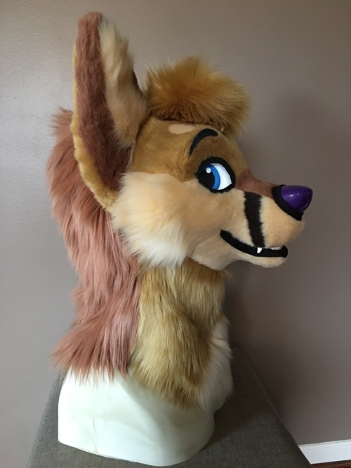 Here&rsquo;s the Zann head I did!! Zann is owned by Lvanhound.