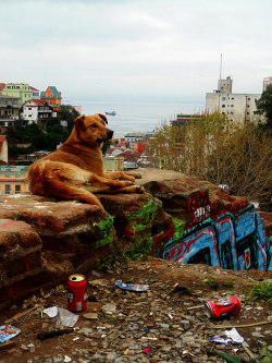 Ruinas, Valparaíso