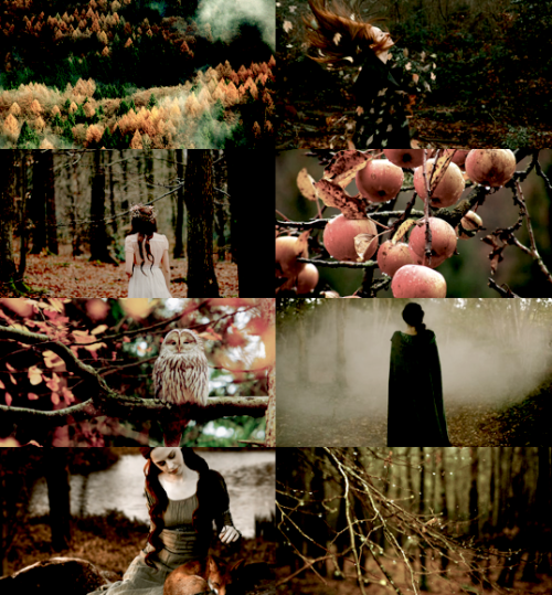 hewalksinstarlight:Silvan elves + seasons
