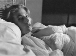 gatabella:Anita Ekberg by Peter Basch, 1950s