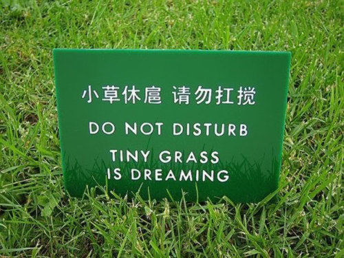 deepfriedtwinkie:  archatlas:  Chinese Translation Fails  I wasn’t gonna reblog it but then the tiny grass was dreaming I dunno how you top that 