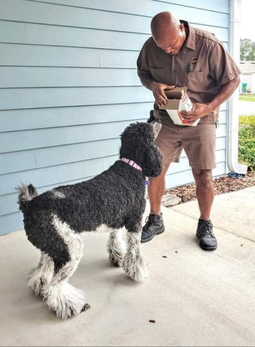 Our awesome UPS driver Tony… here in Newberry, Florida… always brings a treat for our 