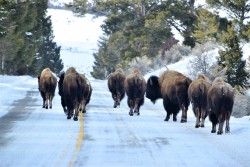 clumsum:  Passing on the double yellow2-24-18