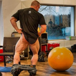 musclemonsterz:  Roman Fritz’s striated
