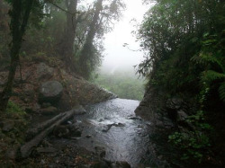 stressless-zone:  La Paz Waterfall Gardens