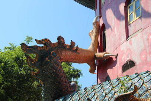 J Macedo Photography aka Jorge Macedo - Wat Sampran Dragon Temple (วัดวัดสามพรานมังกร), Khlong Mai, 
