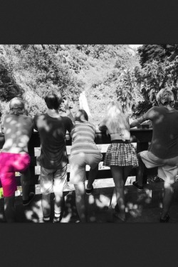 bigtimer5er:  Ross   Pink  Love you so so much
