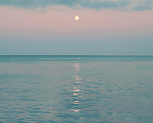 leahberman: moonrise; catalina island, california instagram