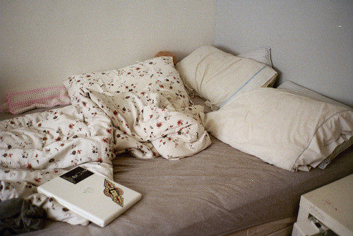 Sex felisque:  untitled by kanpanther on Flickr. pictures