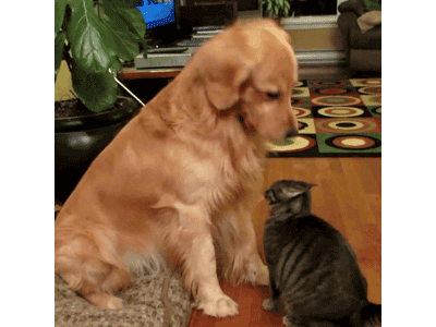 tastefullyoffensive:  &ldquo;The humans do it all the time, it means you’re