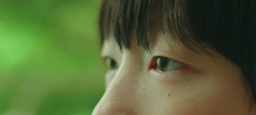 (Vanishing Time: A Boy Who Returned - 가려진 시간, 2016)