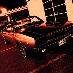 themusclecar:  1968 Dodge Charger R/T | Scott Crawford