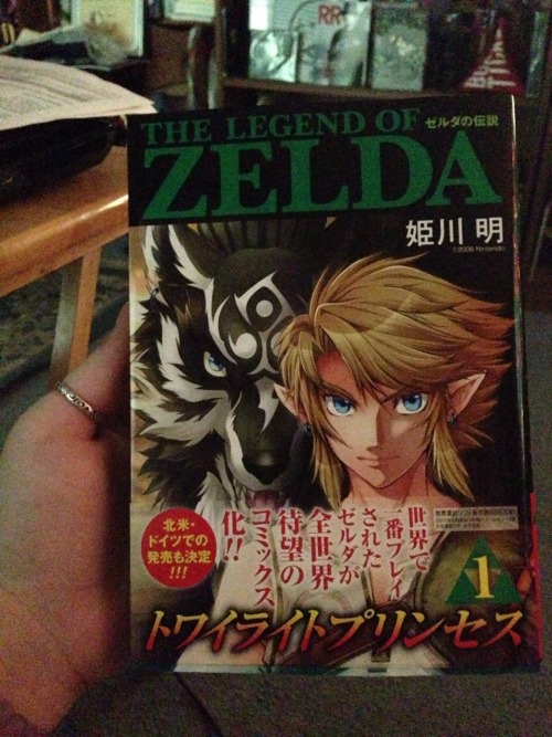 The Legend of Zelda: Twilight Princess (volume one manga)