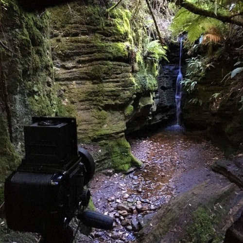 I hadn’t visited these falls for close to 10 years, but went back today to run a roll through 