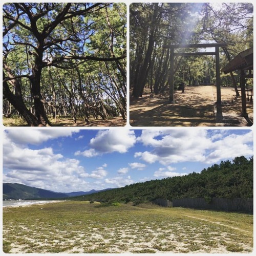 ＼おにわさん更新情報／ ‪[ 佐賀県唐津市 ] 虹の松原 Niji-no-matsubara, Karatsu, Saga の写真・記事を更新しました。 ーー江戸初期、初代唐津藩主 #寺沢広高 の時代