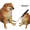 the-imaginary-numbers:the-real-numbers:radicalg:lads, should I stop searching for