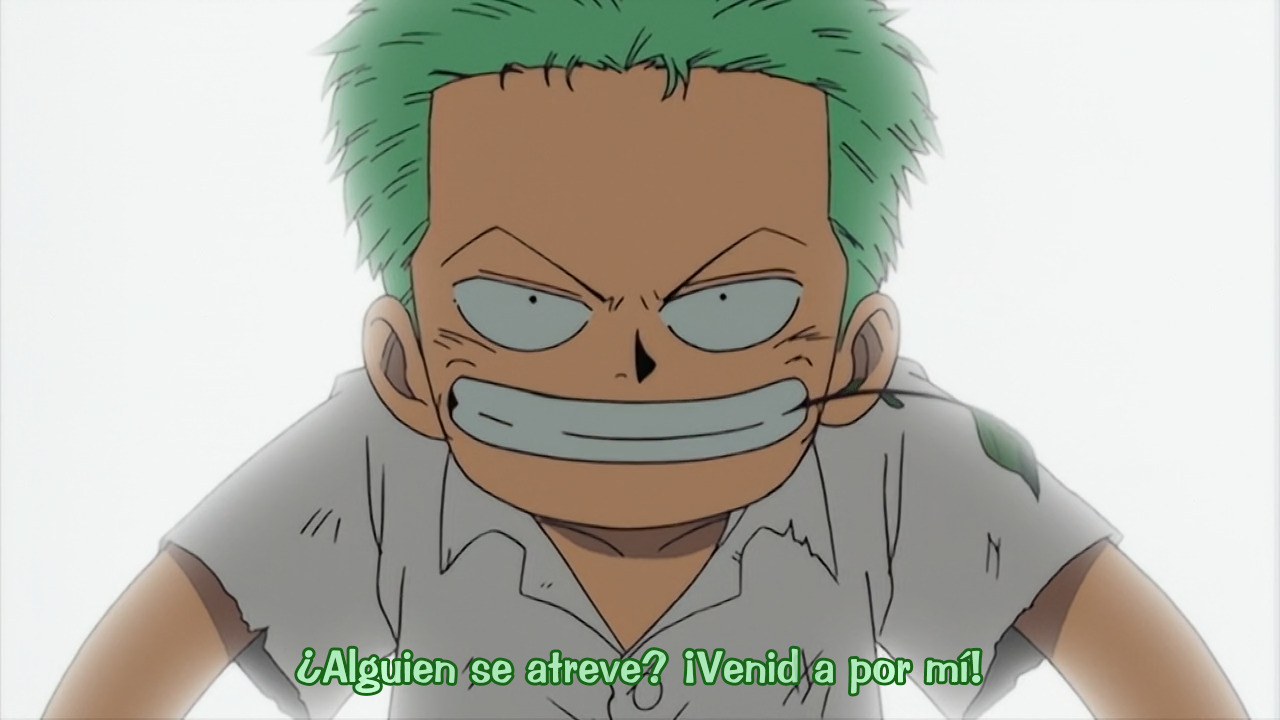 EL PRINCIPE ANIME — EL PASADO OCULTO DE RORONOA ZORO