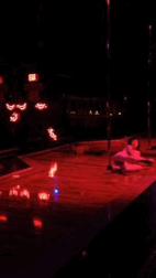 thestripperdiaries:  I GIFed myself. 