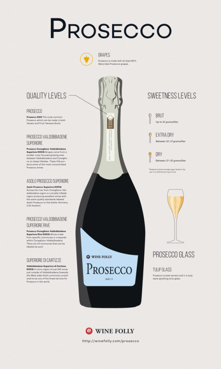 fabforgottennobility:The Prosecco Wine Guide  