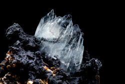 ifuckingloveminerals:  Baryte  Sidi Lachcen