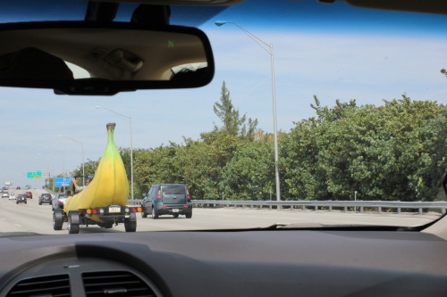 boredology: jeffrubinjeffrubin: When I was in Florida last week I saw a car shaped like a banana. Th