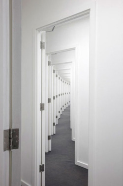 hifas:  Hitchcock Hallway an installation