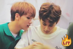 mintothewon:  Imagine Markhyuck had a fight.   Donghyuck misses Mark sm so he leans to the older and whispers ‘i’m sorry’.Mark is unsure abt talking to him yetbut anyways turns to look at him ‘Are you really sorry?’ Donghyuck nods.There’s