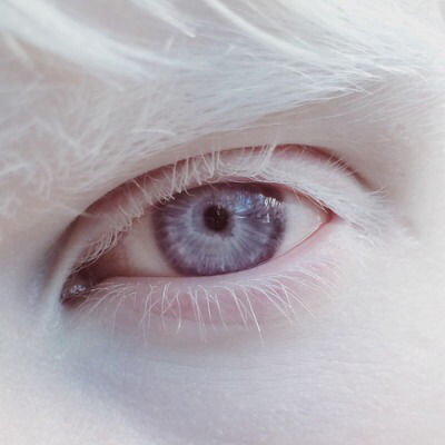 heima